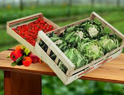 Sprijin financiar de 2,4 milioane de euro pentru producatorii de fructe si legume