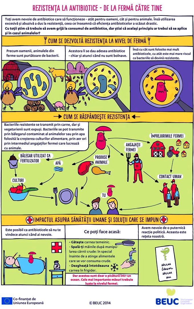 BEUC antibiotice animale de ferma masuri