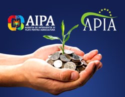 Reprezentantii AIPA din Republica Moldova in vizita de perfectionare la Agentia de Plati APIA