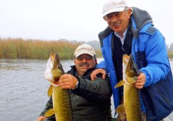 Festivalul stiucilor din Delta Dunarii in direct la TVR