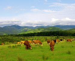 Oportunitatile agricultorilor si producatorilor din zona montana prezentate la EUROMONTANA