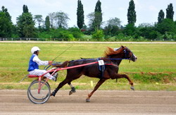 Rase de cai Trapasul