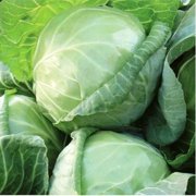 Seminte de varza Jetma F1