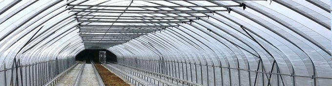 Solarii legumicultura 2