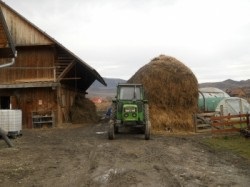 Legume ecologice proaspete si deshidrate cu fonduri europene