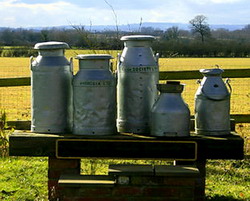 Constituirea producatorilor de lapte si produse lactate in organizatii sau asociatii de profil