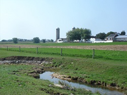 Exista si tehnici agricole poluatoare practicate de fermierii Amish