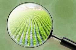 Ce parere au romanii despre Politica Agricola Comuna ?