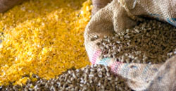 HACCP Ferme pasari 3