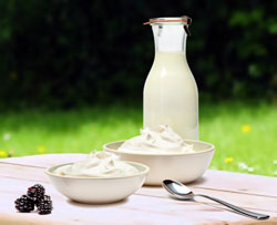 Iaurtul – un prieten de nadejde in lupta cu obezitatea si supraponderea