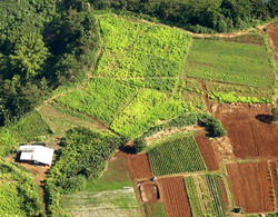 ajutoarele nationale tranzitorii vegetal 2014