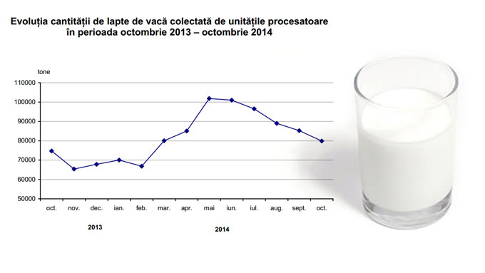 lapte de vaca colectat 2