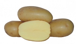 Doar soiurile de cartofi de calitate rezista pe piata