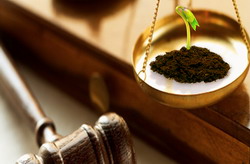 Antitrust: Consultare CE pe tema aplicarii normelor antitrust ale UE in sectorul agricol