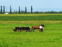 Concurs de fotografie cu tema „Satul – viata, munca, obiceiuri”