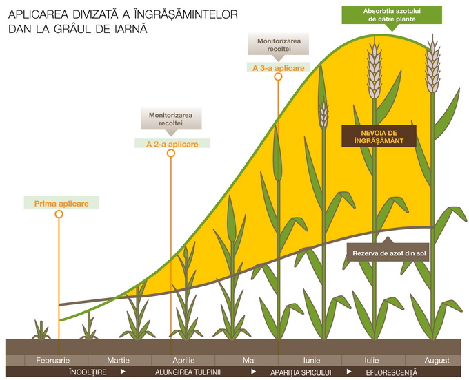 Ingrasaminte DAN aplicare