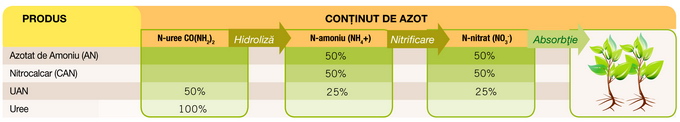 Ingrasaminte DAN continut azot