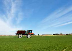 Ingrasamintele cu azot direct disponibil