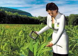 Agricultura de precizie si practicile agricole performante maresc eficienta ingrasamintelor