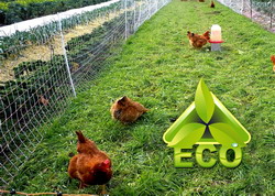 Oportunitati Cursuri agricultura ecologica