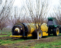 Tratamente recomandate in perioada repaosului vegetativ la pomii fructiferi