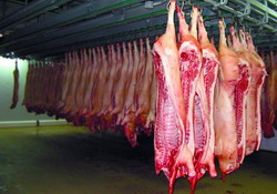 Tehnologia de abatorizare a porcinelor