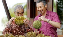 durian2