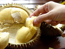 Durian, fructul cu gust delicios si miros respingator