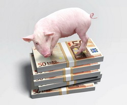 Pana la 16 februarie 2015 se depun Cererile de plata pentru Masura 215 – porcine