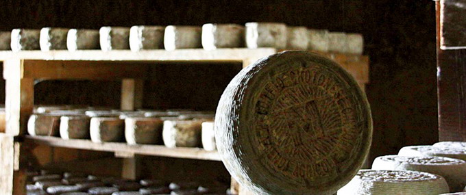 Branza tare de oaie Pecorino Crotonese 3