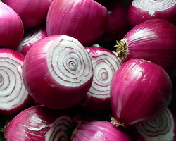 Englezii prefera ceapa rosie dulce