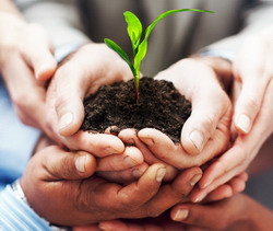 Cooperativele agricole, mijloc pentru transformarea exploatatiilor agricole mici in afaceri profitabile