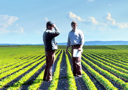 Fonduri tineri si mici fermieri