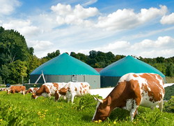 Fondurile Europene pentru Biomasa si Biogaz devin o realitate – ARBIO participa la elaborarea ghidurilor