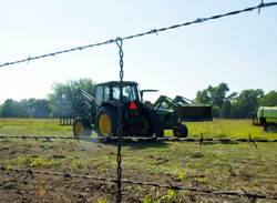 Securizarea activitatii agricole – Furturile de produse agricole direct din teren