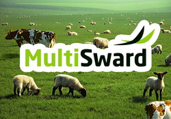 Proiectul MULTISWARD – Inovatii si tehnologii in utilizarea pasunilor