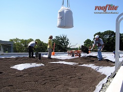 Rooflite-Installs-Prod-11
