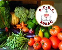 Seminte de legume: Oferta SCDL Buzau – Februarie 2015