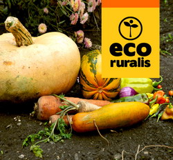 Ecoruralis: Seminte traditionale distribuite gratuit taranilor si gradinarilor