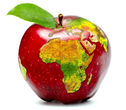 43 de milioane de hectare sunt cultivate ecologic