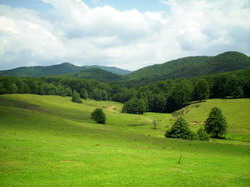 Noi reglementari privind pasunatul “Amenajamentul Pastoral”