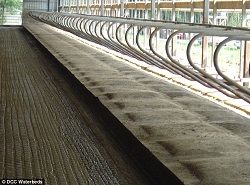 article-2347123-1A79739D000005DC-173 634x471