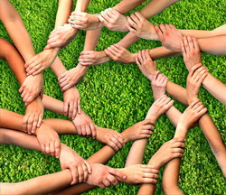 Formele de asociere in agricultura