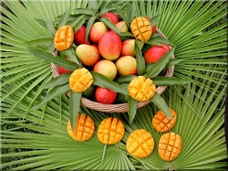 BanaBay si soiuri sale premium de mango si banane