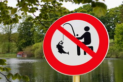 Perioadele si zonele de prohibitie a pescuitului in anul 2015