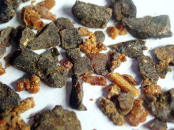 propolis