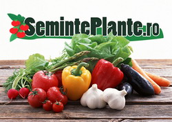 seminte-plante1