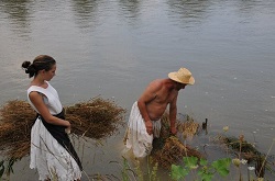 162717 180632965302129 1124259 n