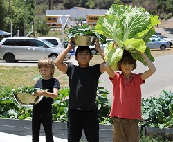 Prima scoala vegetariana din SUA