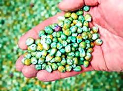 Autorizare temporara produse tratare seminte